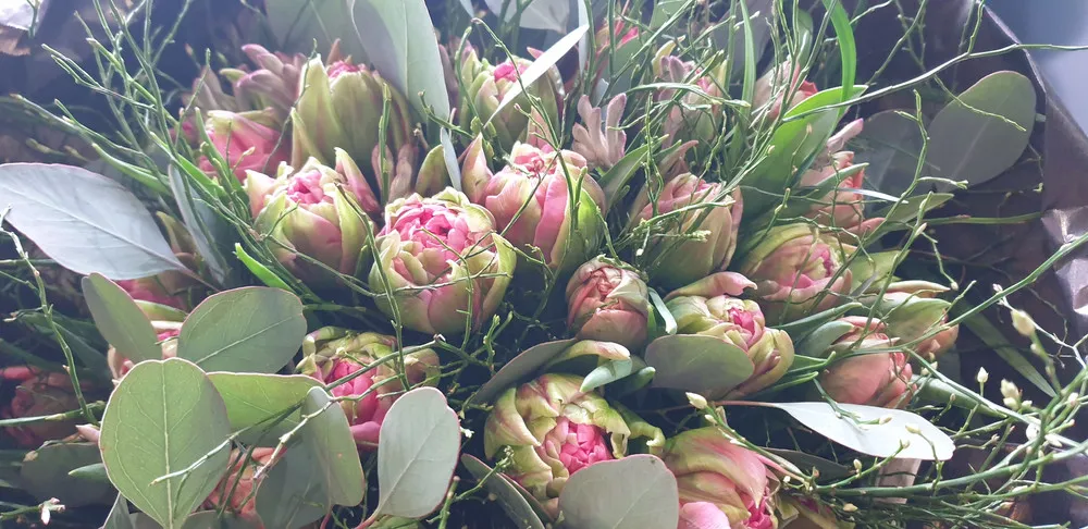 Floristik: Blumen von Himmelblau Blumen & Meer in Birmensdorf