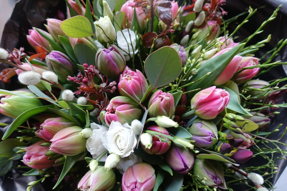 Floristik: Blumen von Himmelblau Blumen & Meer in Birmensdorf